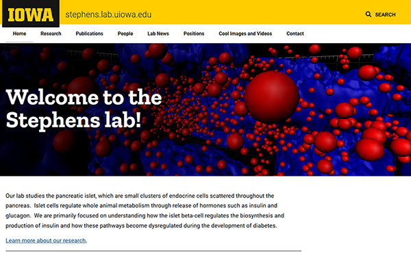 screenshot of sample website design