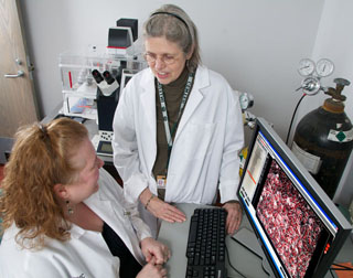 Felow and faculty using a microscope