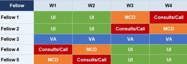 sample rotation schedule showing various fellows rotating on various services over 4 weeks (UI, MCD, Consults/call, and VA)