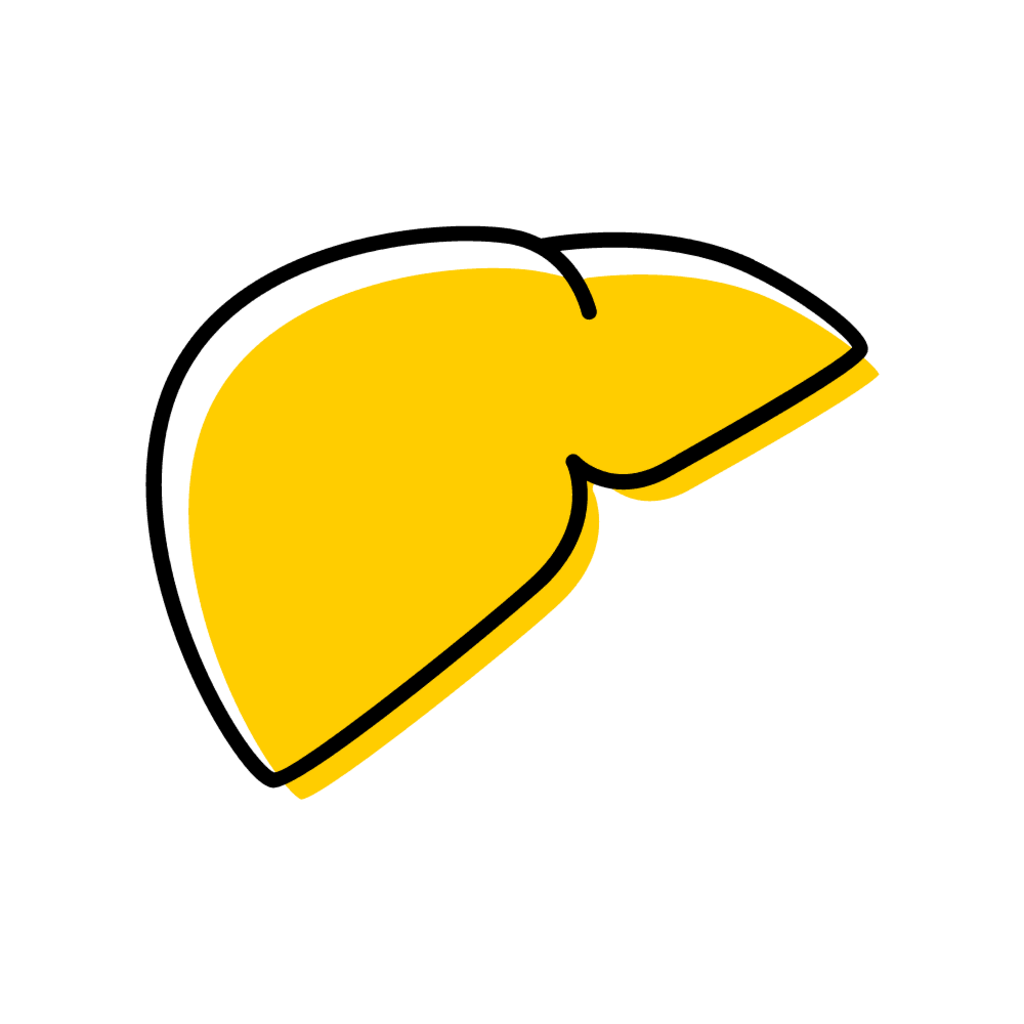liver icon