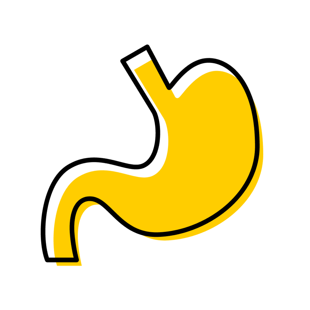 stomach icon