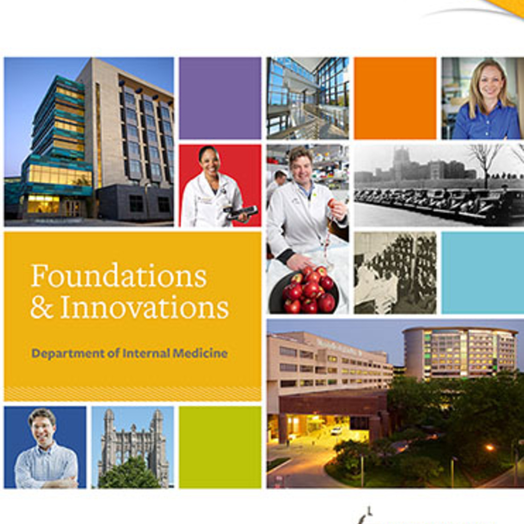 cover of Foundations and Innovations publication, 2017