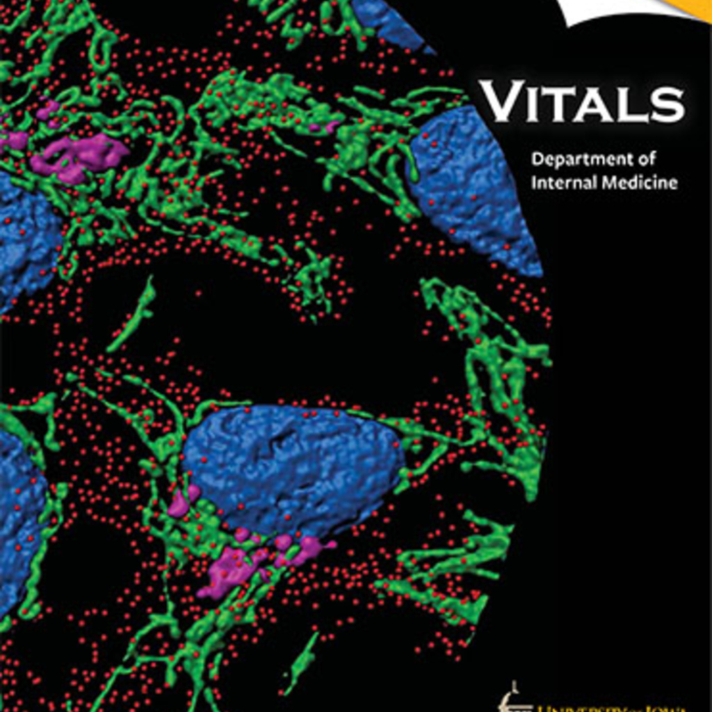 cover of Vitals publication, 2019