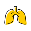 lungs icon