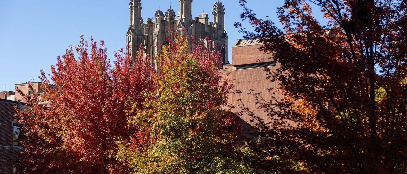 UI Health Care gothic tower